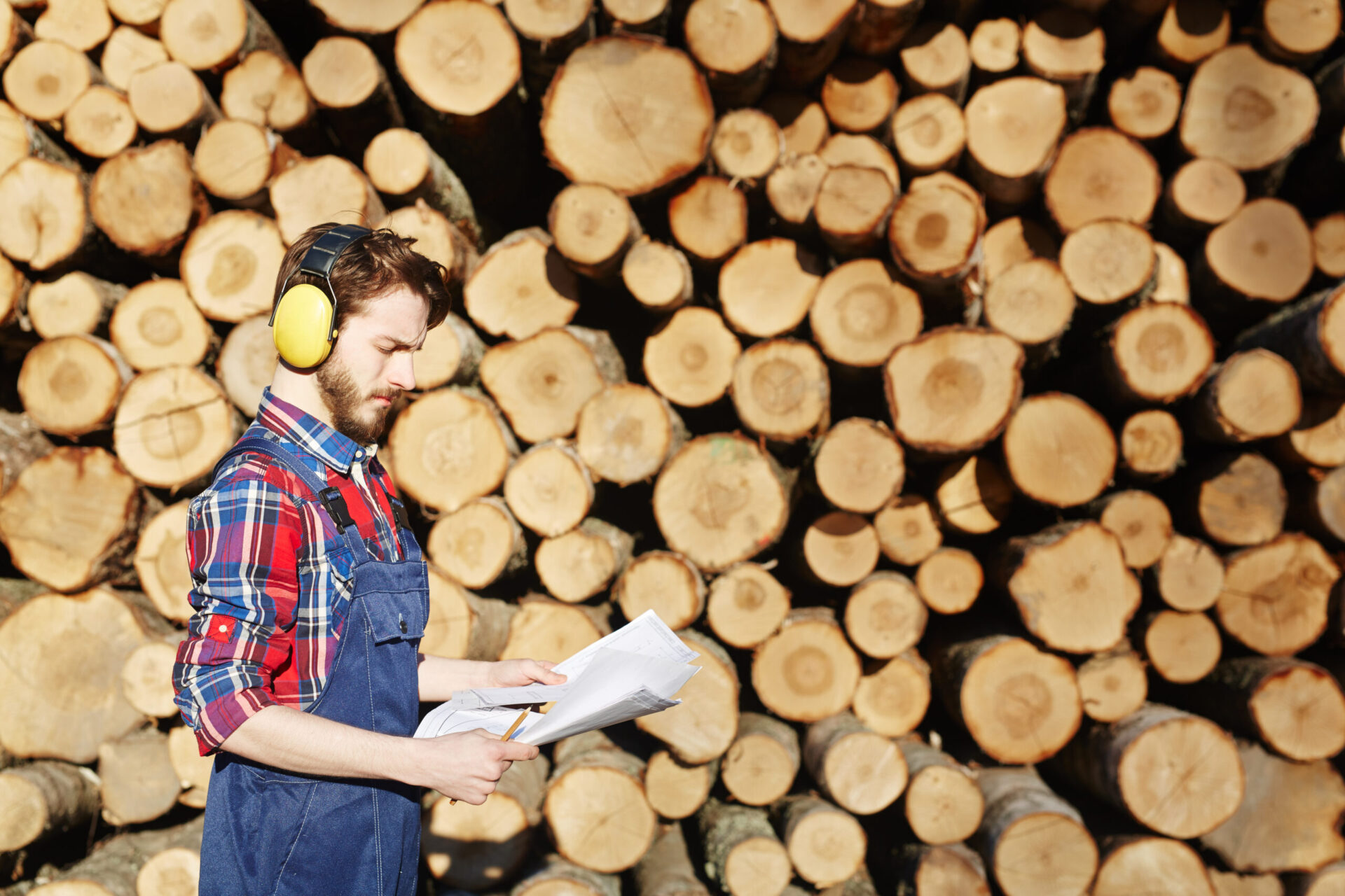 Side view portrait of man working on timber cutting site, reading documentation standing against pile of wood logs