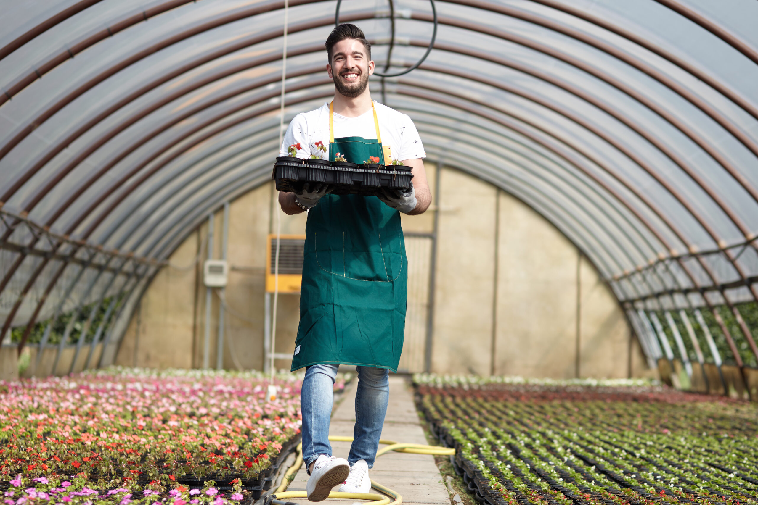 man working in a plant nursery